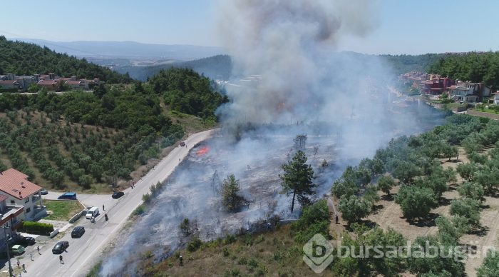 Bursa Mudanya'da orman yangını	