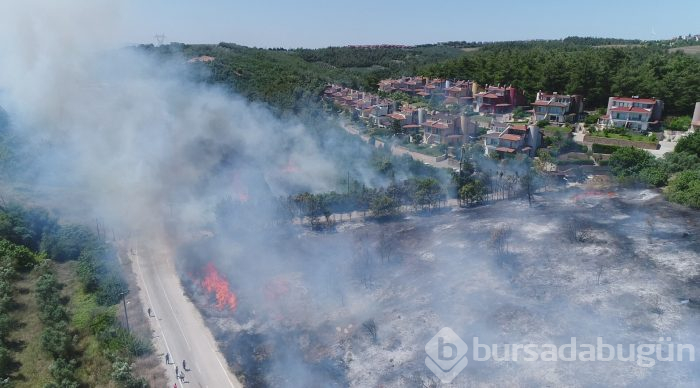 Bursa Mudanya'da orman yangını	