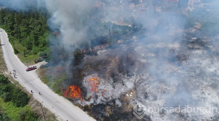 Bursa Mudanya'da orman yangını	