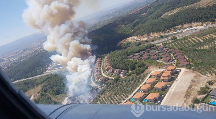 Bursa Mudanya'da orman yangını	