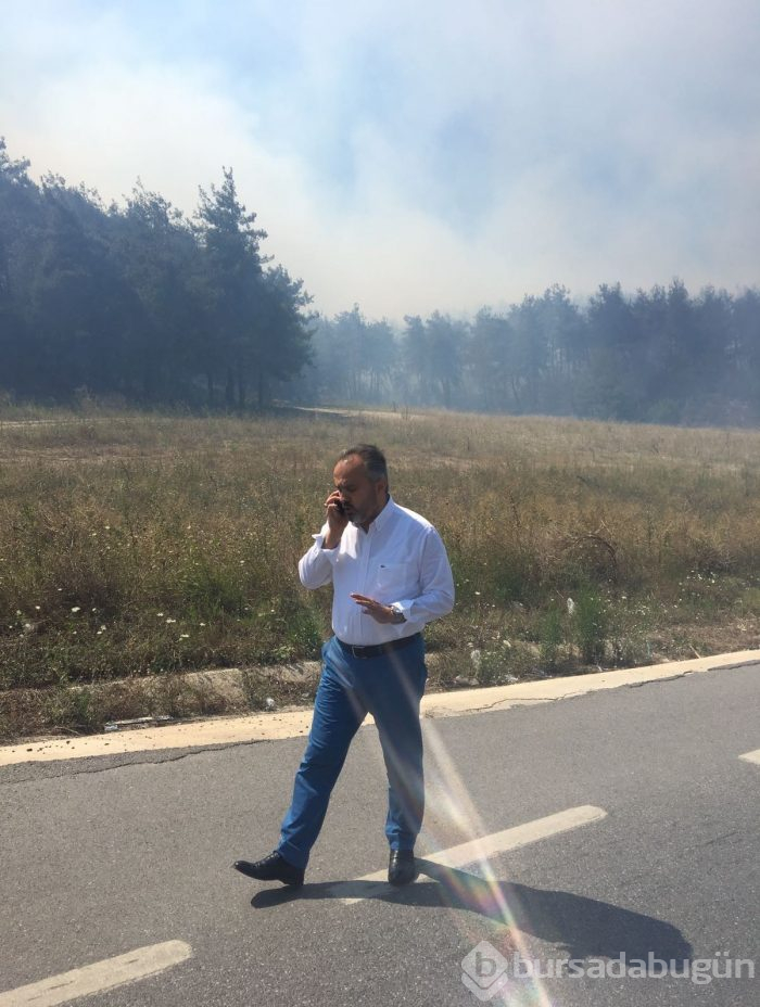 Bursa Mudanya'da orman yangını	