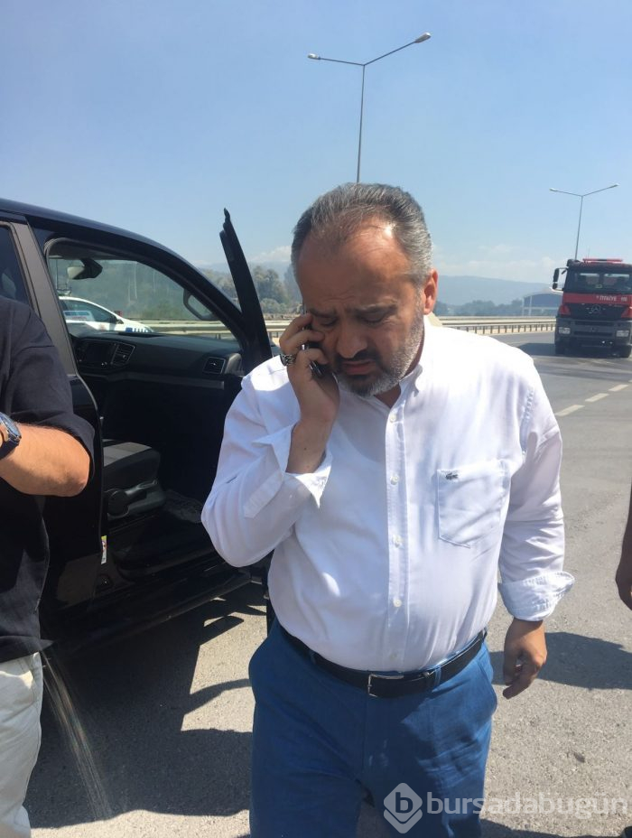 Bursa Mudanya'da orman yangını	