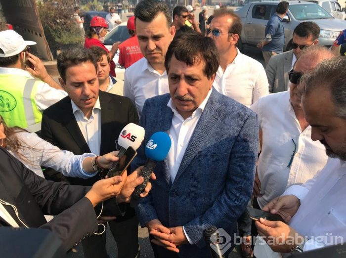 Bursa Mudanya'da orman yangını	