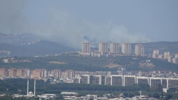 Bursa Mudanya'da orman yangını	