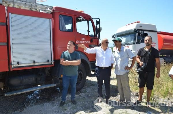 Bursa Mudanya'da orman yangını	