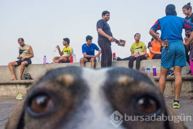 Günün en çok paylaşılan fotoğrafları