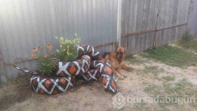 Günün en çok paylaşılan fotoğrafları