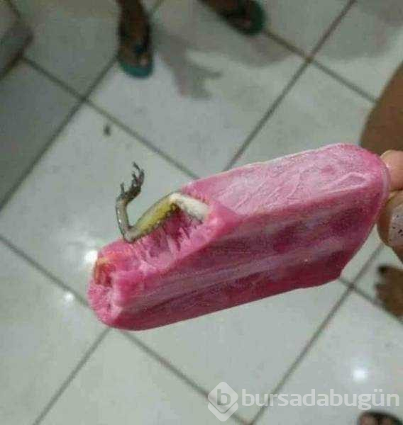 Günün en çok paylaşılan fotoğrafları