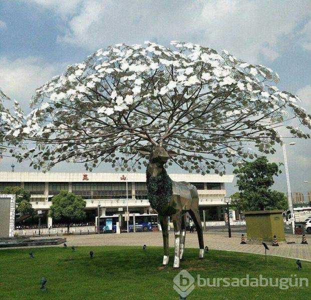 Günün en çok paylaşılan fotoğrafları
