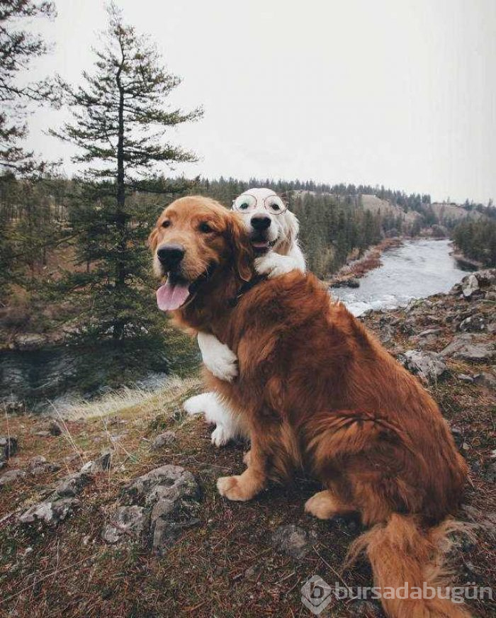 Günün en çok paylaşılan fotoğrafları