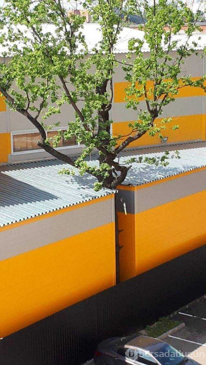 Günün en çok paylaşılan fotoğrafları