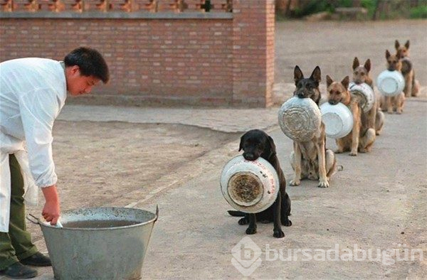 Günün en çılgın 20 fotoğrafı 