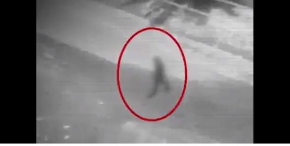 Trafikte hayalet paniği
