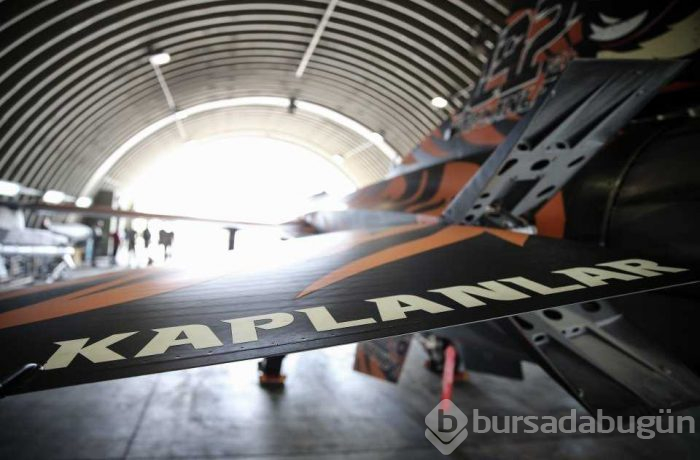 Teröristlerin korkulu rüyası 'Kaplan'