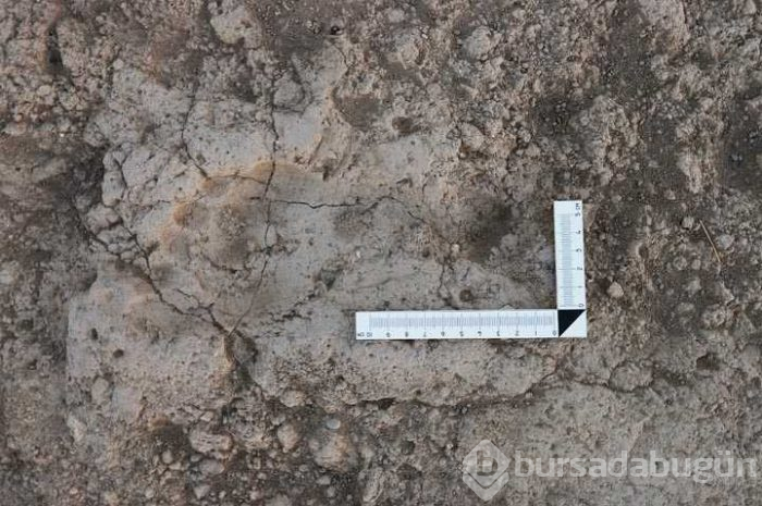 Van'daki kazılarda Urartular'ın ayak izine rastlandı
