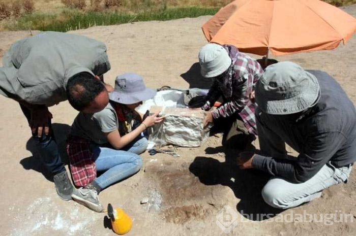 Van'daki kazılarda Urartular'ın ayak izine rastlandı