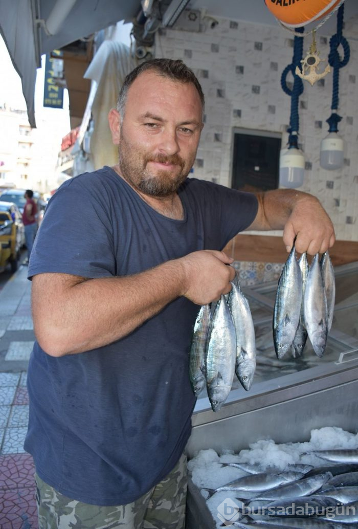 Sezonun ilk palamutları tezgahlardaki yerini aldı