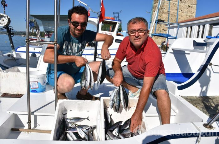 Sezonun ilk palamutları tezgahlardaki yerini aldı