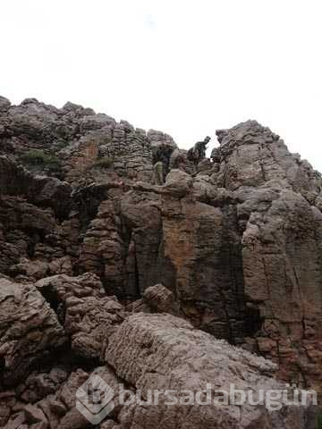 Şırnak'ta 4 PKK'lı terörist etkisiz hale getirildi
