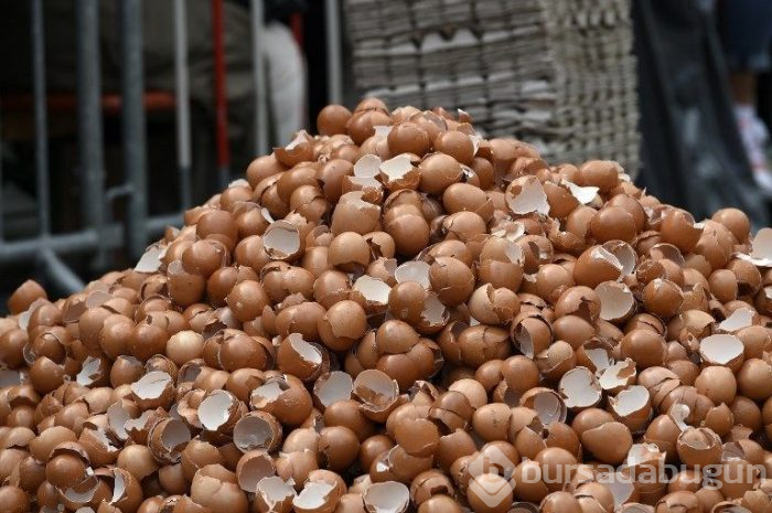Belçika'da 10 bin yumurtalı dev omlet