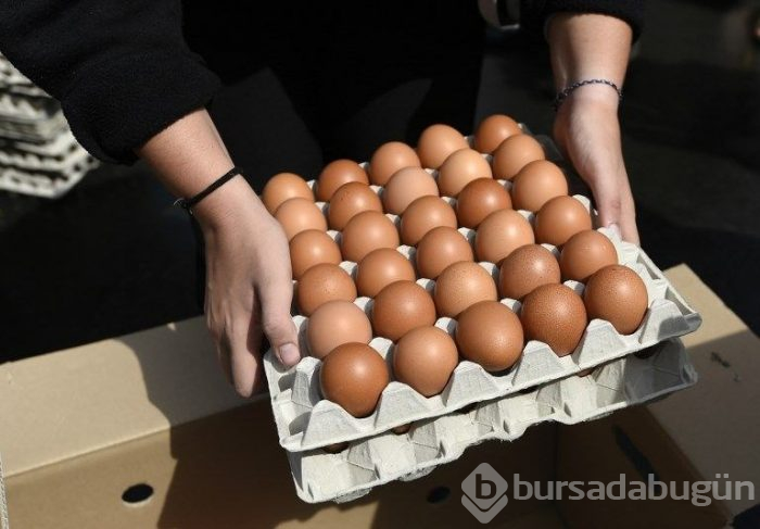Belçika'da 10 bin yumurtalı dev omlet