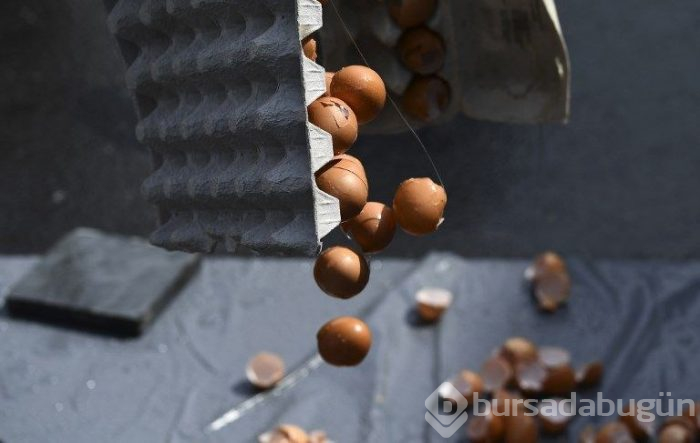 Belçika'da 10 bin yumurtalı dev omlet