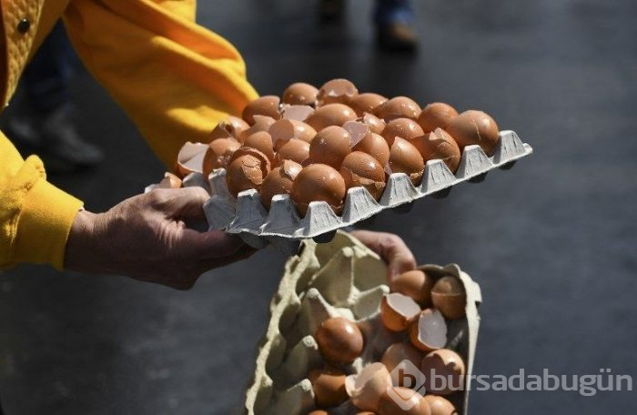 Belçika'da 10 bin yumurtalı dev omlet