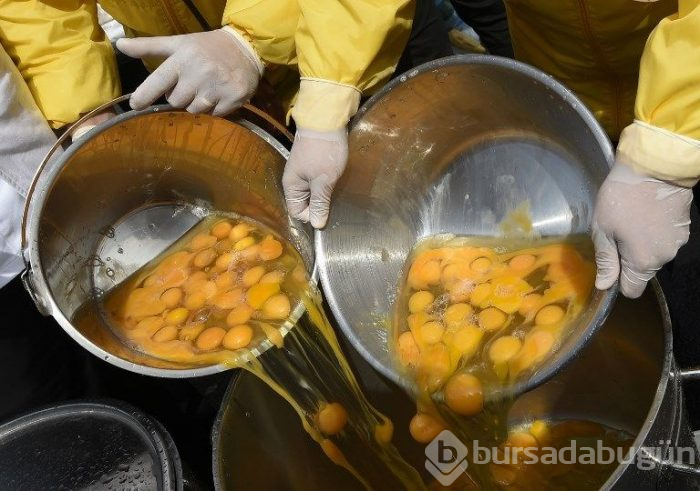 Belçika'da 10 bin yumurtalı dev omlet
