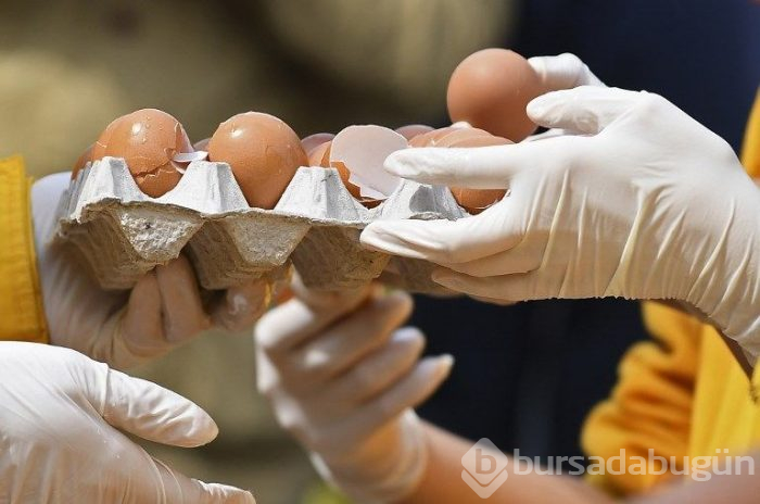 Belçika'da 10 bin yumurtalı dev omlet