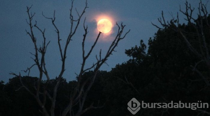 Yüzyılın en uzun Kanlı Ay Tutulması'nı uzaydan fotoğrafladı