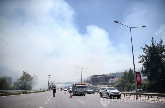 Bursa'nın ciğerleri alev alev