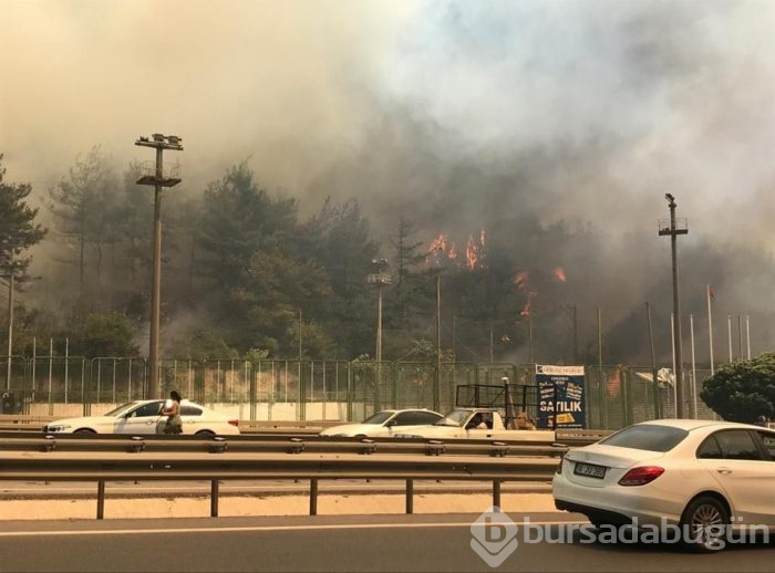 Bursa'nın ciğerleri alev alev