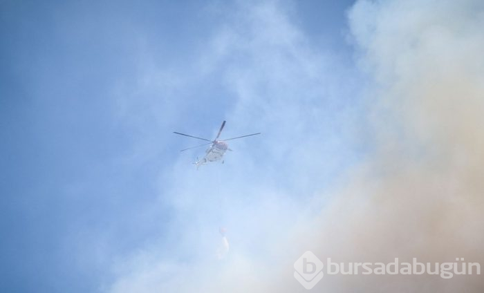 Bursa'nın ciğerleri alev alev