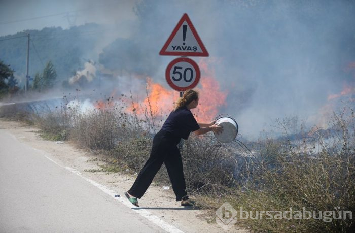 Bursa'nın ciğerleri alev alev