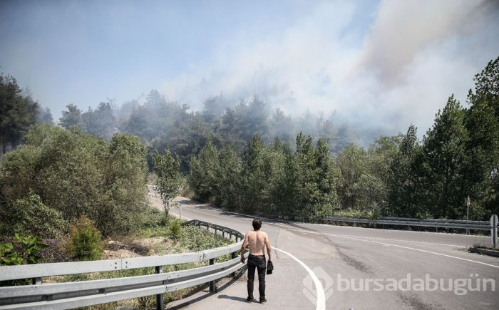 Bursa'nın ciğerleri alev alev