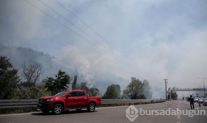 Bursa'nın ciğerleri alev alev