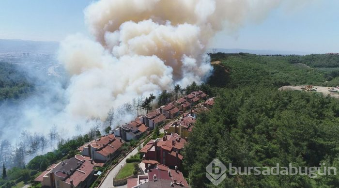 Bursa'nın ciğerleri alev alev
