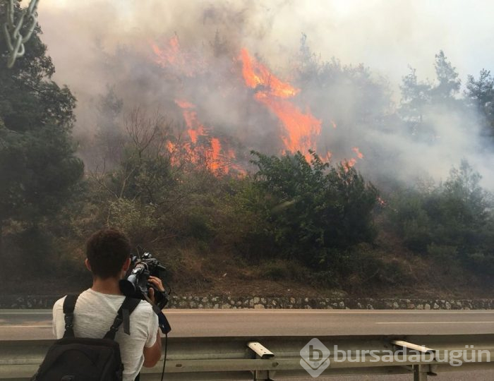 Bursa'nın ciğerleri alev alev