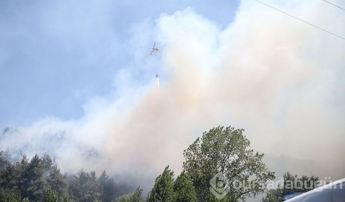 Bursa'nın ciğerleri alev alev