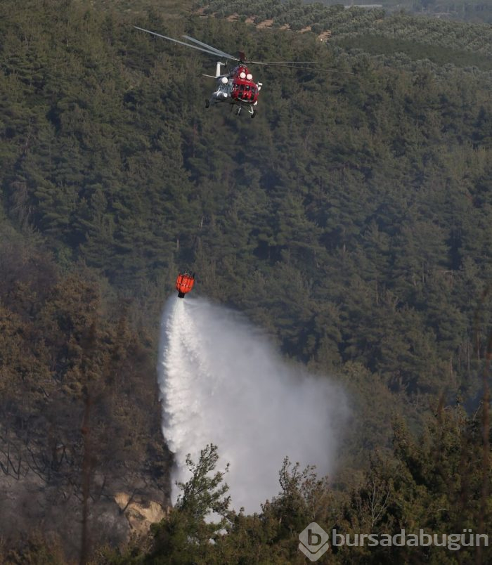 Bursa'nın ciğerleri alev alev