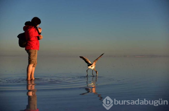 Flamingo cenneti 'Tuz Gölü'