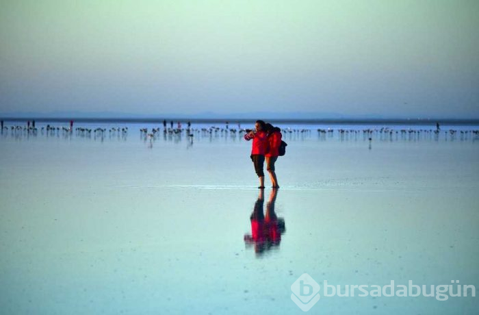 Flamingo cenneti 'Tuz Gölü'