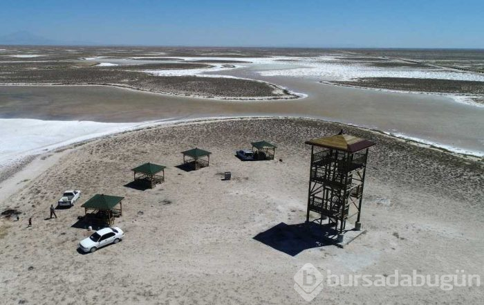 Flamingo cenneti 'Tuz Gölü'