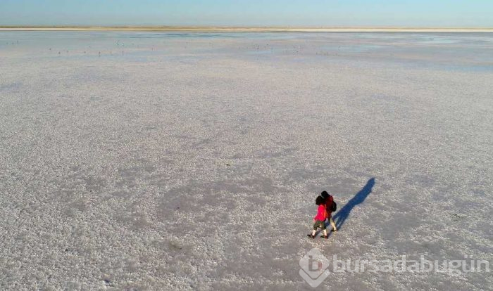 Flamingo cenneti 'Tuz Gölü'