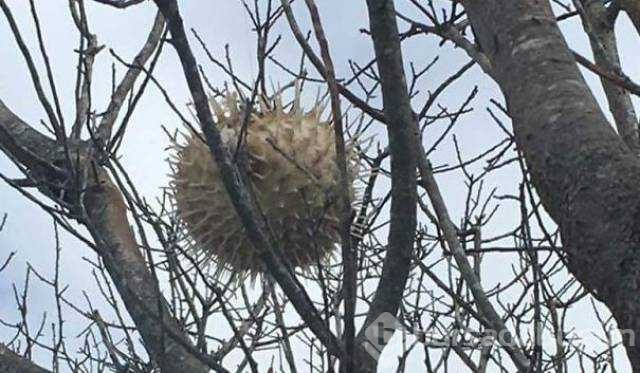 Doğanın en korkunç görüntüleri