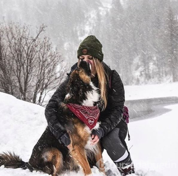 Doğa tutkunu kampçı köpekler (Köpeklerle kamp)