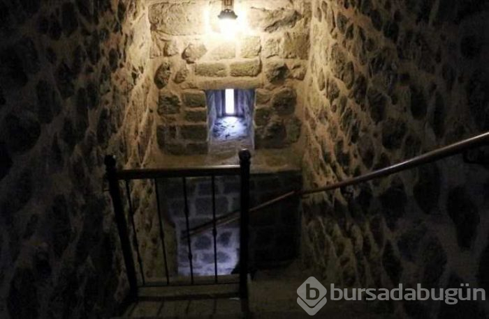 Turistler görebilmek için ülkemize akın ediyor