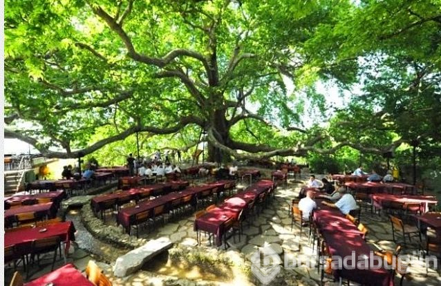 Bursa'nın 23 ünlü lezzet durağı
