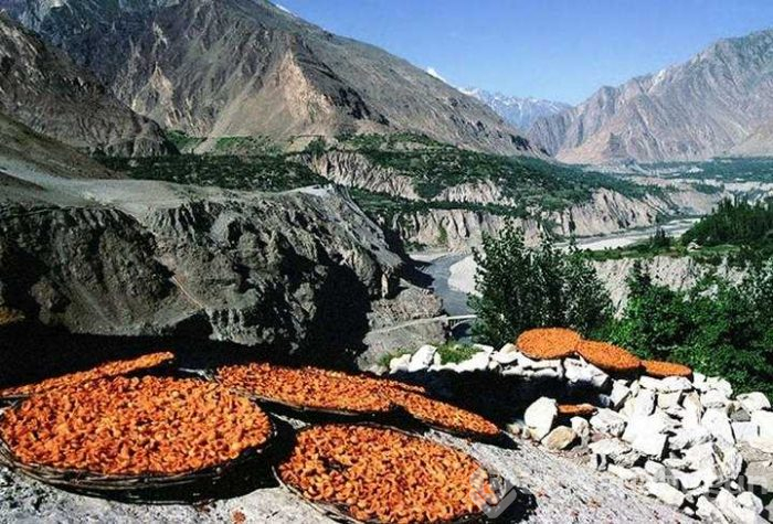 120 yaşına kadar yaşayan Hunza Türkleri'nin sırrı!
