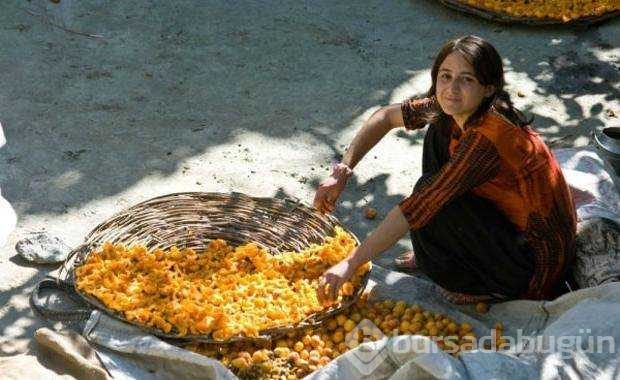 120 yaşına kadar yaşayan Hunza Türkleri'nin sırrı!
